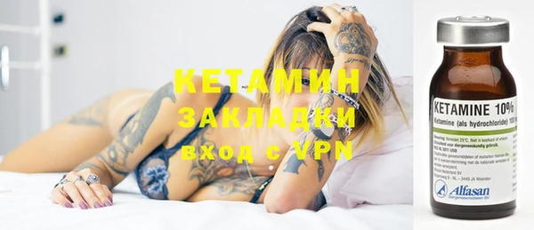 индика Вязьма
