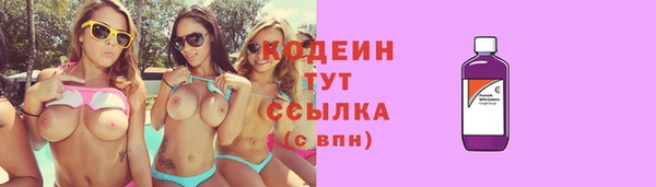 индика Вязьма