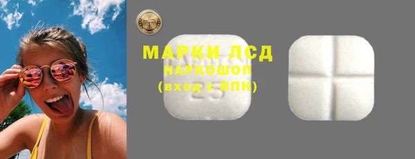 индика Вязьма