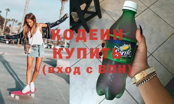 индика Вязьма