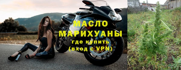 индика Вязьма