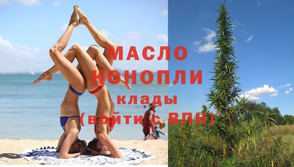 индика Вязьма