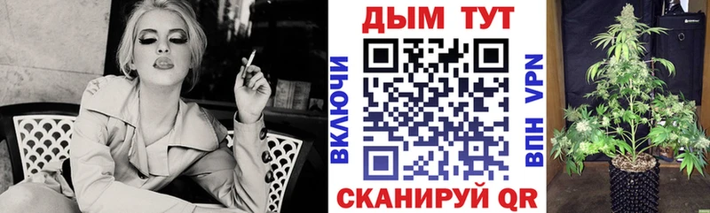 Бошки Шишки ГИДРОПОН Гусиноозёрск