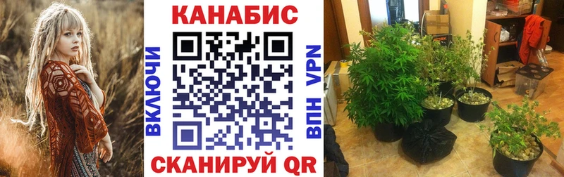 Шишки марихуана Ganja  Гусиноозёрск 